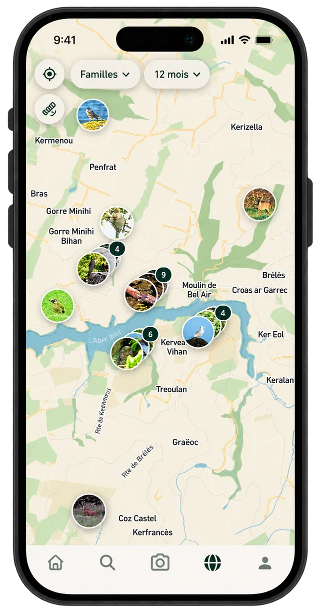 Map of observations around the Aber Ildut estuary, with grouped animal photos and the Families and 12 months filters
